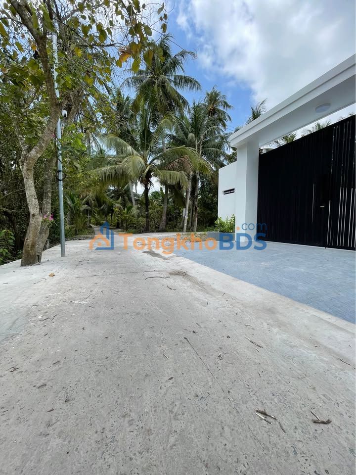 Bán Gấp Đất Nền Phú Nhuận, Bến Tre 162.5m² - Sổ Hồng Sẵn Sàng