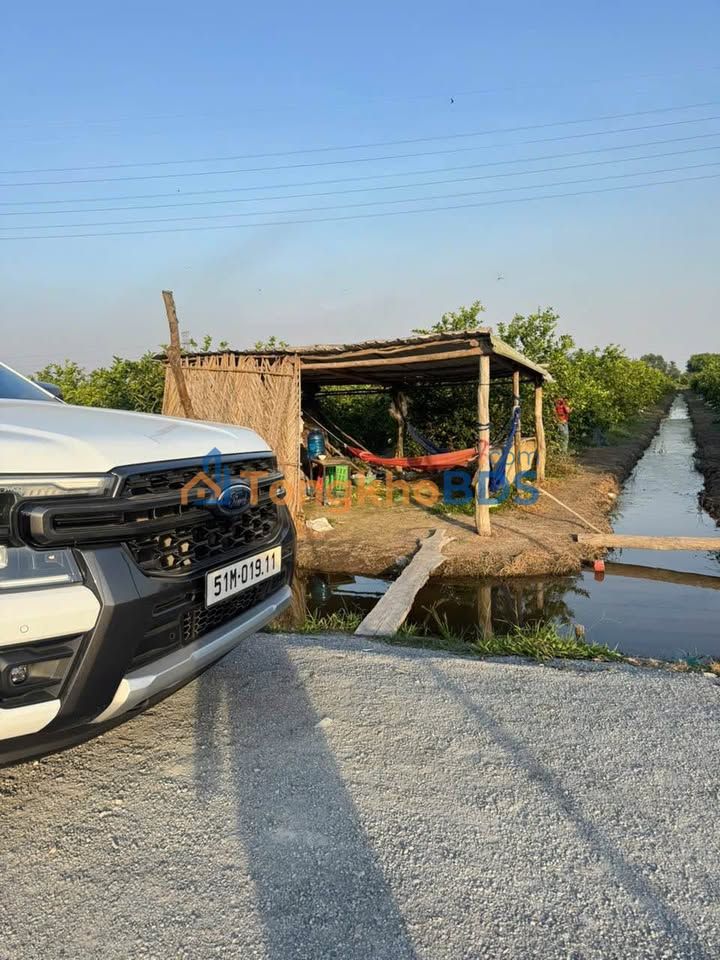 Đất Vườn 4500m² Long An - Sổ Hồng Sẵn Sàng, Thu Hoạch Chanh Ngay