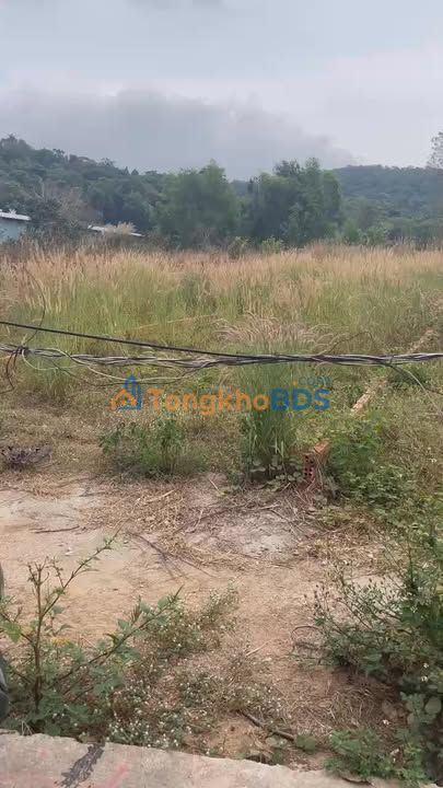 Đất thổ cư 80m² Suối Đá, Phú Quốc - Sổ hồng riêng, giá 1.4 tỷ