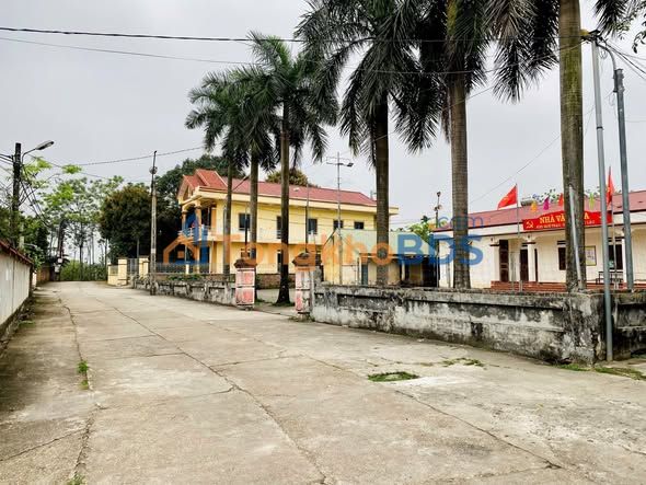 Bán Đất 85m² Trục Chính Tản Viên, Việt Trì - Sẵn Sàng Xây Nhà Đẹp