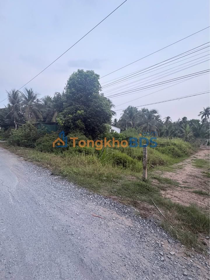 Đất nền Chợ Gạo, Tiền Giang - 414m² mặt tiền đường nhựa, giá 790 triệu