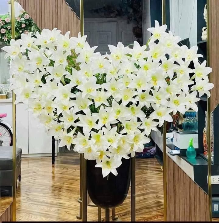 Nhà Cấp 4 Phường Quang Trung, Thái Bình - 61m² Giá 1 Tỷ xxx