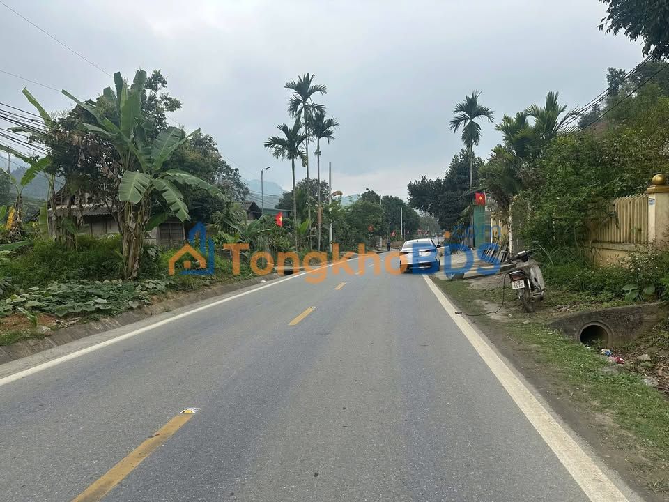 Bán Trang Trại Phong Niên 10.000m² - Giá 1 Tỷ Tốt