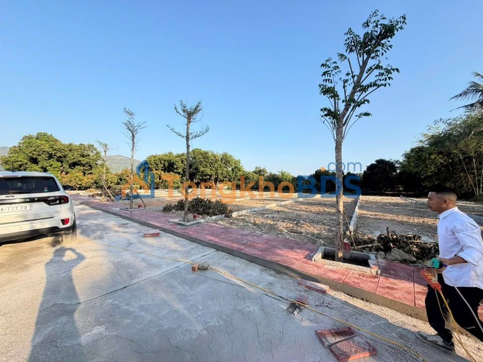 Đất Nền Sổ Hồng Cam Lâm - 213m² Giá Đầu Tư 1.27 Tỷ