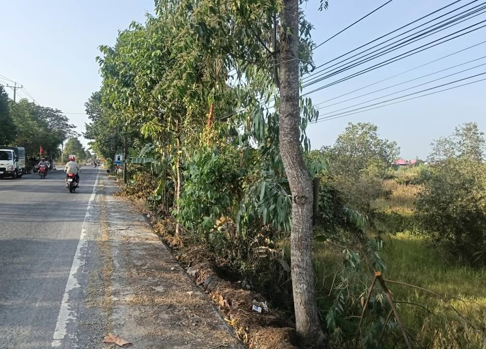 Bán đất mặt tiền DT 856, Cao Lãnh - Hơn 3000m², Thích hợp kinh doanh kho bãi