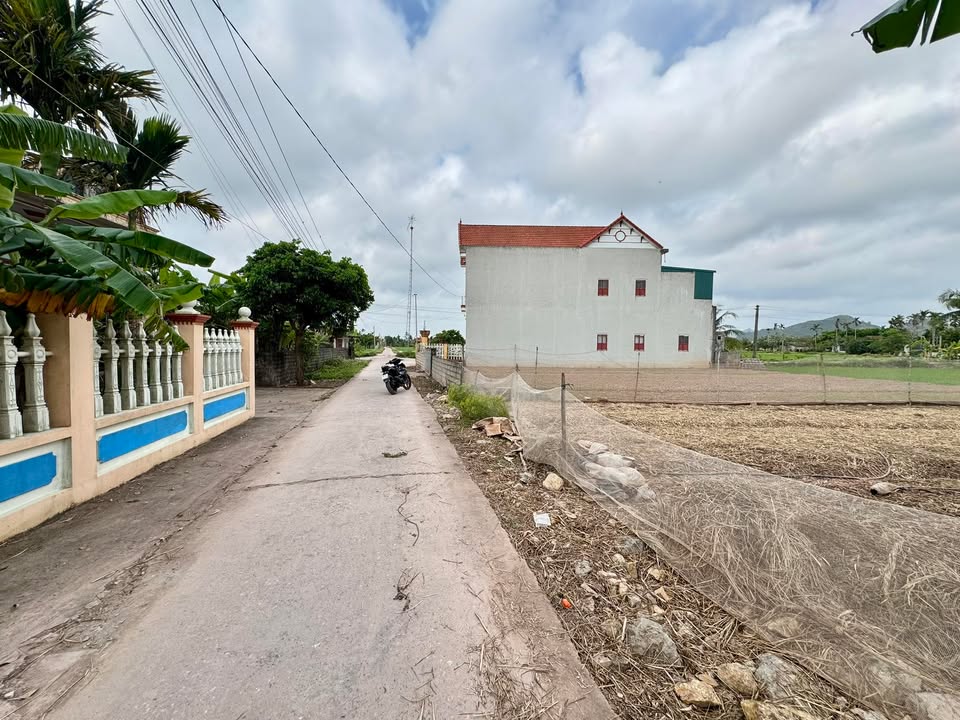 Bán Đất Nền Liền Kề 289m² Full Thổ Cư, Sổ Hồng Sẵn, Hướng Đông Nam