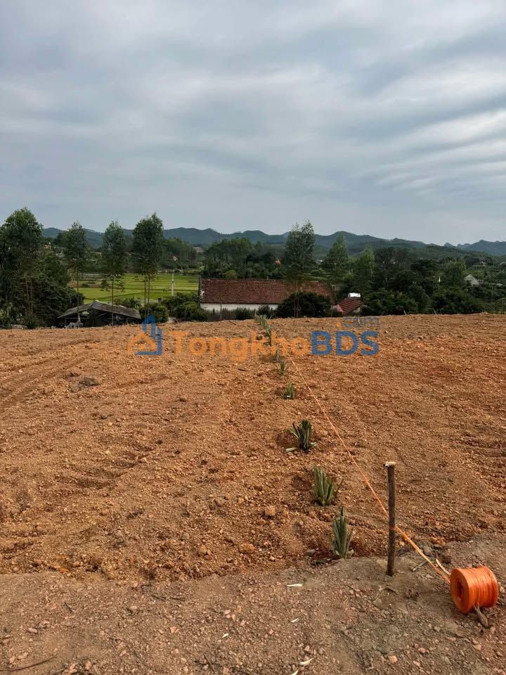 Đất Vườn 430m² Yên Thế, Bắc Giang - Giá Tốt Đầu Tư