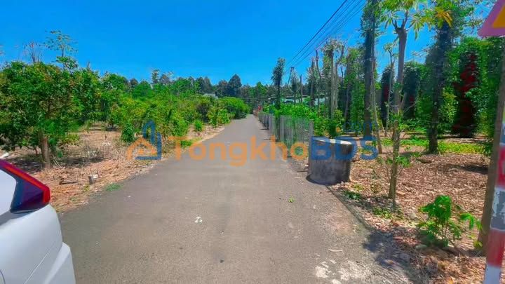 Đất thổ cư Xuyên Mộc 240m² - Gần chợ, trường học, giá 990 triệu