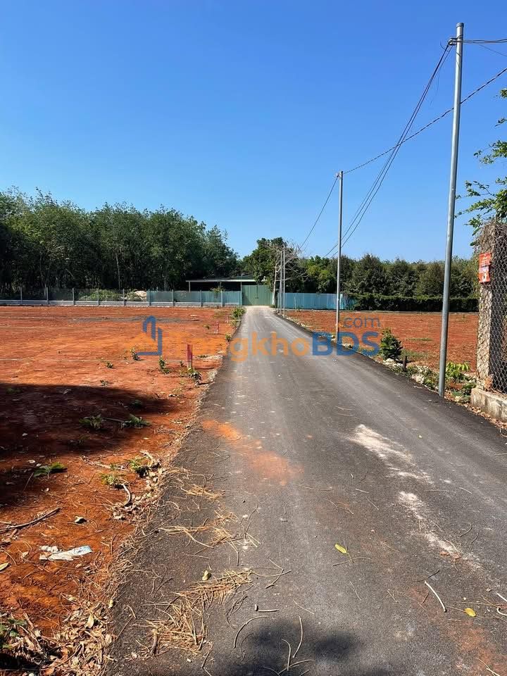 Bán Gấp 4 Lô Đất 500m² Đường 91, Long Tâm, Bà Rịa - Sổ Sẵn, Giá 1.28 Tỷ