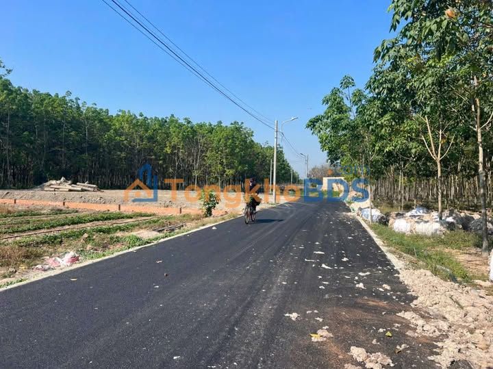 Đất Nền 100m² Mặt Tiền Đường Nhựa Hòa Lợi, Thủ Dầu Một - 1.35 Tỷ