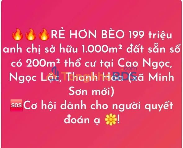Đất Vàng 1000m² Thổ Cư Ngọc Lặc - Giá Rẻ 199 Triệu