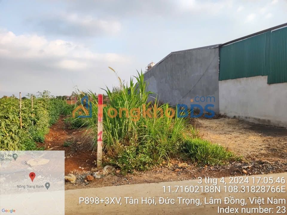 Đất nền Tân Hội, Lâm Đồng 299m² - Sổ đỏ sẵn, giá 1.3 tỷ