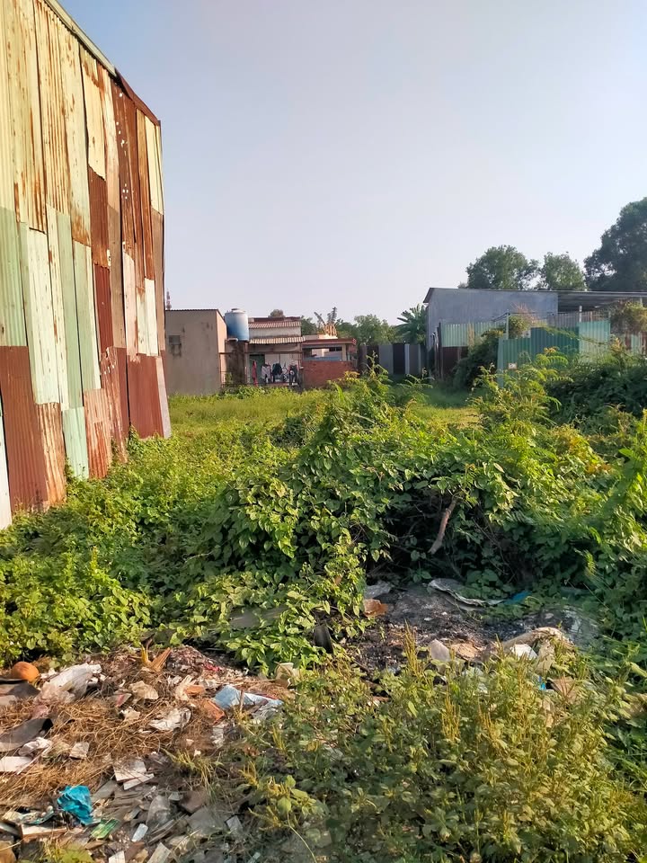 Bán Đất Mặt Tiền Hẻm 6m Vĩnh Lộc B, Bình Chánh - 580 Triệu