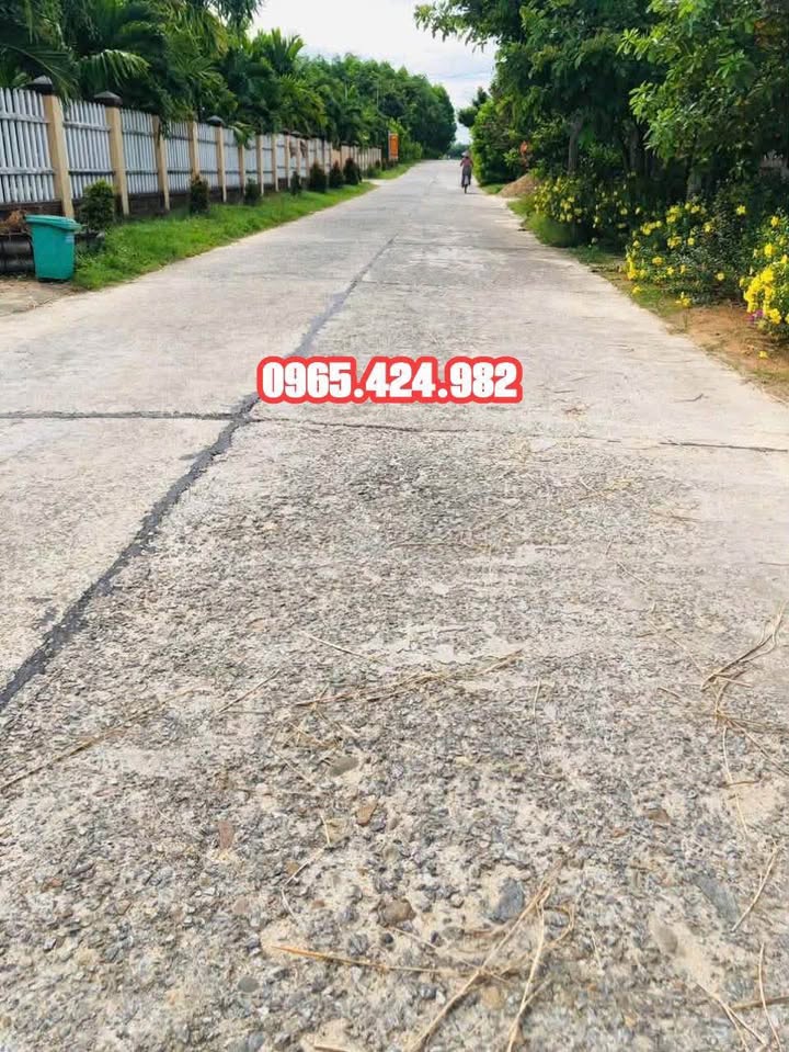 Nhà Mặt Tiền DH8 Phú Ninh 185m² - Giá 7 Tỷ - Kinh Doanh Đắc Lợi