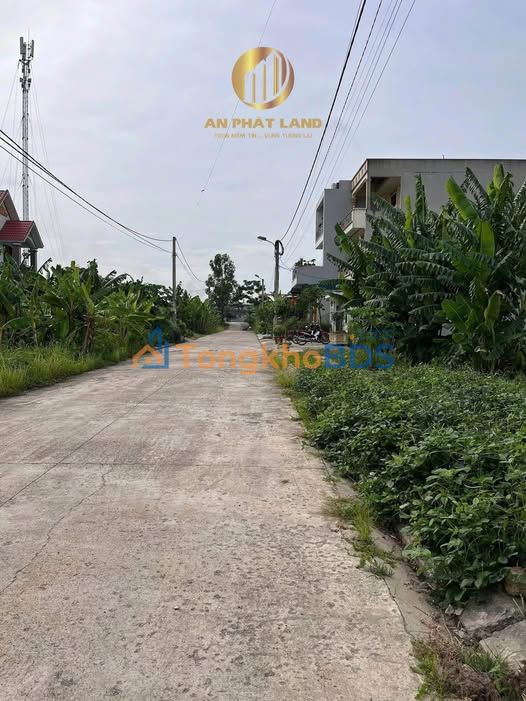 Bán Đất 90m² Đường Lê Thái Tổ, Yên Mô, Ninh Bình - Sổ Đỏ Rõ Ràng