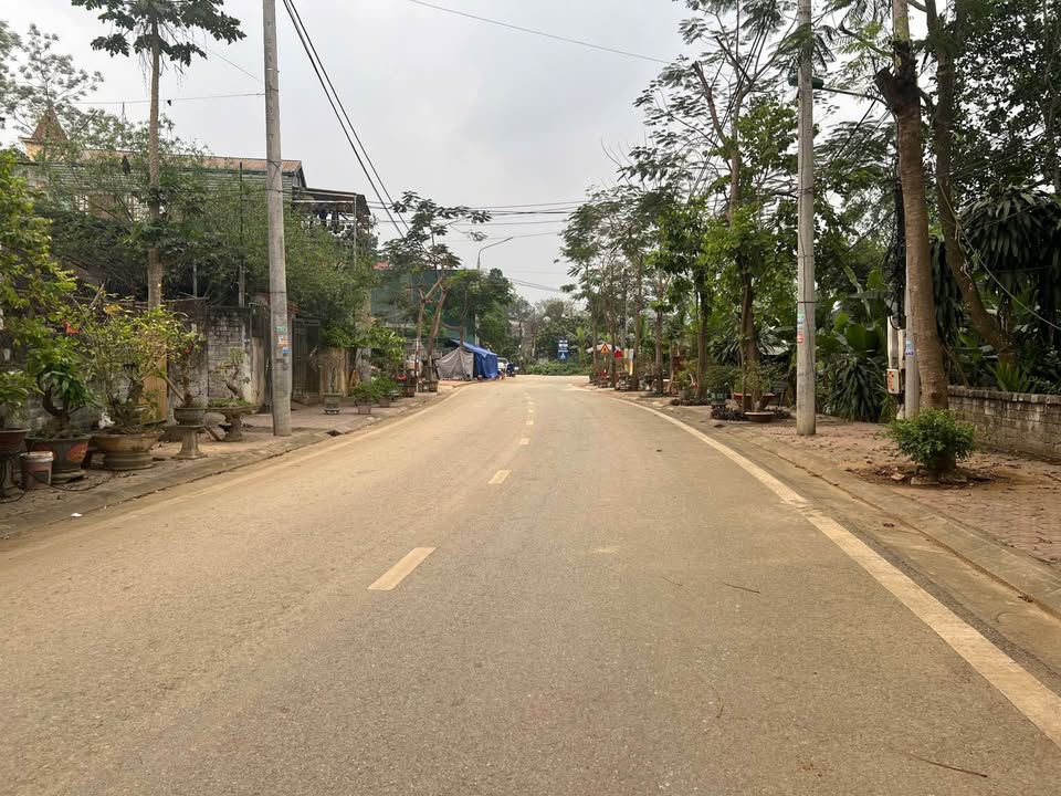 Đất nền KĐT Ngọc Kim, Tuyên Quang 100m² - Vị trí kinh doanh đắc địa