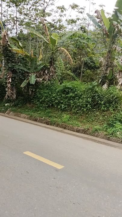 Bán Gấp Đất Vàng Quốc Lộ 4C, Đồng Văn, Hà Giang - 900m² Mặt Tiền Rộng