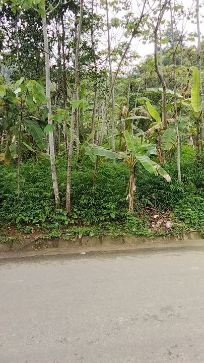 Đất Mặt Tiền QL4C Đồng Văn 300m² - Giá Tốt Đầu Tư