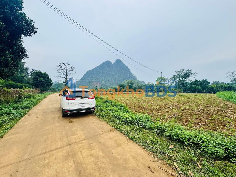 Đất Nền Phong Quang, Vị Xuyên: 540m² Mặt Tiền Rộng 10m, Giá 360 Triệu