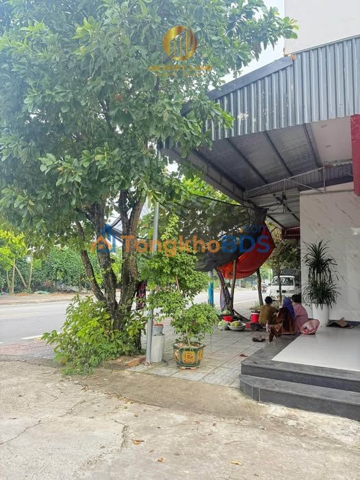 Đất Vàng Phường Ninh Sơn, Hoa Lư 81.8m² - Mặt Tiền Rộng 5.5m
