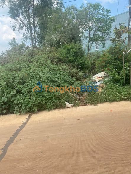 Bán đất 200m² Hẻm 56 Trần Nhật Duật, Gò Vấp - Sổ Đỏ Thổ Cư