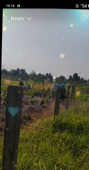 Đất Vườn 500m² Ấp 2 Nhị Thành, Thủ Thừa - Sổ Hồng - Giá Đầu Tư 200 Triệu