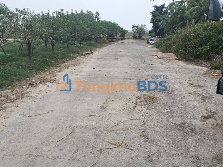 Bán đất 260m² tặng nhà cấp 4, MT 5.4m, QL45, TP Thanh Hóa - Giá 2.3 tỷ