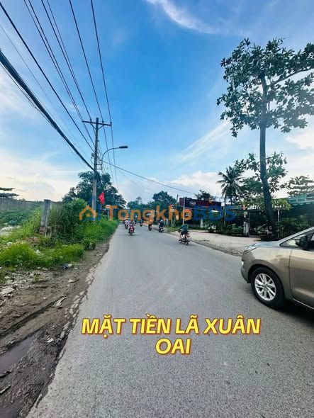 Đất Thổ Cư 62m² Lã Xuân Oai, TP. Thủ Đức - Sổ Hồng Riêng, Giá 3.8 Tỷ