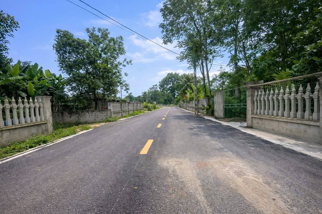 Bán Gấp Đất Vàng Minh Sơn, Triệu Sơn 116m² - Kinh Doanh Đắc Lợi