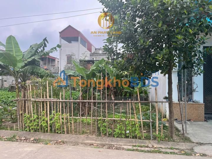 Đất nền Ninh Tiến, Hoa Lư 80m² giá thỏa thuận - Đường to ô tô