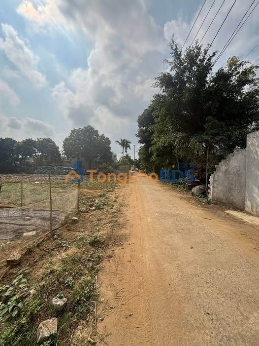 Bán Đất Ninh Bình 62.5m² - Ngõ 608 Ninh Tốn, Ô Tô Vào Tận Nơi