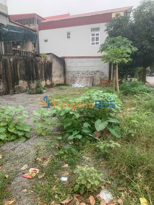 Đất Nền Nam Định Giá Đầu Tư - Sẵn Sàng Giao Dịch 78m²