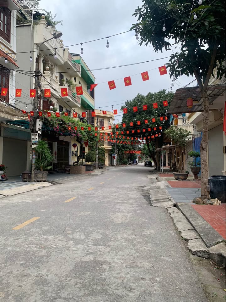 Bán Đất Mặt Đường Bùi Đình Hoè, Nam Định - 90m² Hướng Đông Nam, Giá 4.5 Tỷ