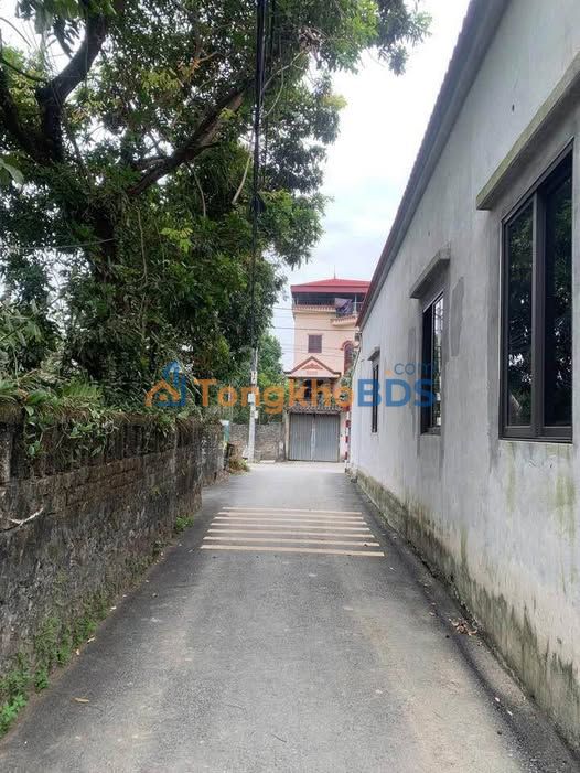 Đất nền Ninh Nhất Hoa Lư 49m² 1 tỷ - Đường ô tô