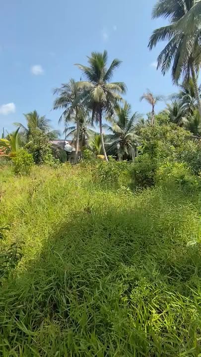 Bán Đất Mặt Tiền Quốc Lộ 60 Bến Tre - 804m² Kinh Doanh Đa Ngành