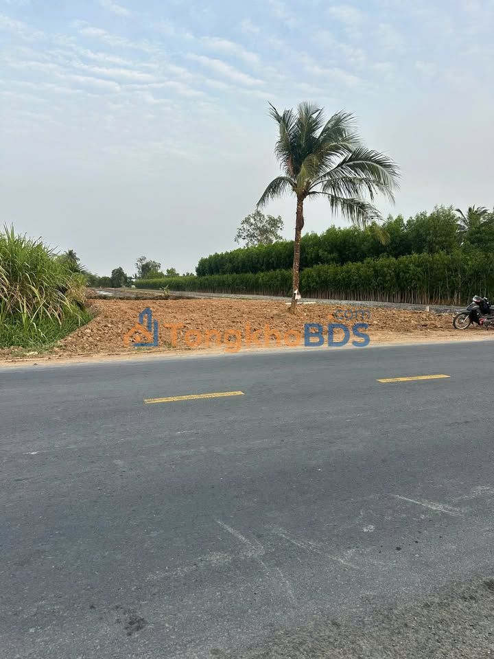 Đất Vườn Hậu Giang - Mặt Tiền QL Quản Lộ Phụng Hiệp, 5328m² Giá Tốt