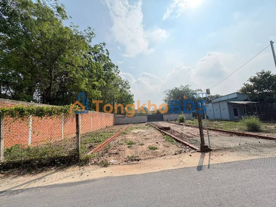 Đất Nền 1083m² Phường Tân An, TDM - Sổ Hồng Thổ Cư, Giá Tốt Đầu Tư