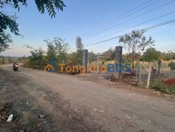 Bán Gấp Farm 2500m² Đắk Lắk - Giá Sốc 2.5 Tỷ, Sổ Hồng Sẵn