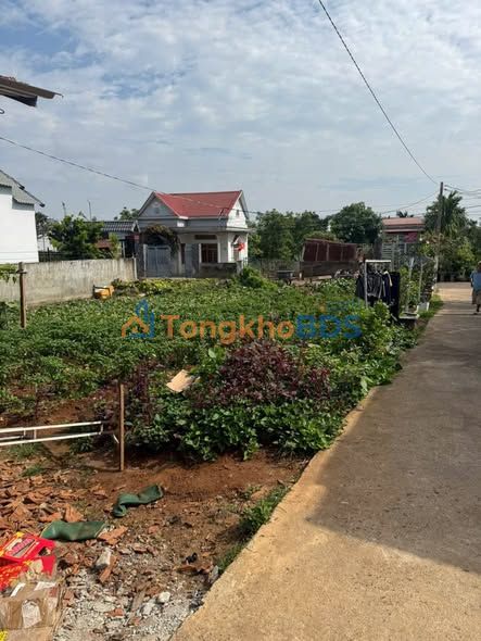 Đất Vàng Nguyễn Khuyến Krông Pắc 612m² - Sổ Đỏ Riêng, Gần Chợ, Trường Học