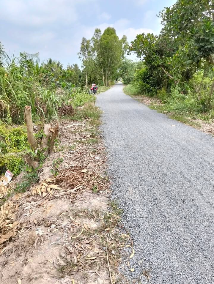 Bán Đất Vườn 11.000m² Mặt Tiền Đường Nhựa Cai Lậy, Tiền Giang - Giá 3.85 Tỷ