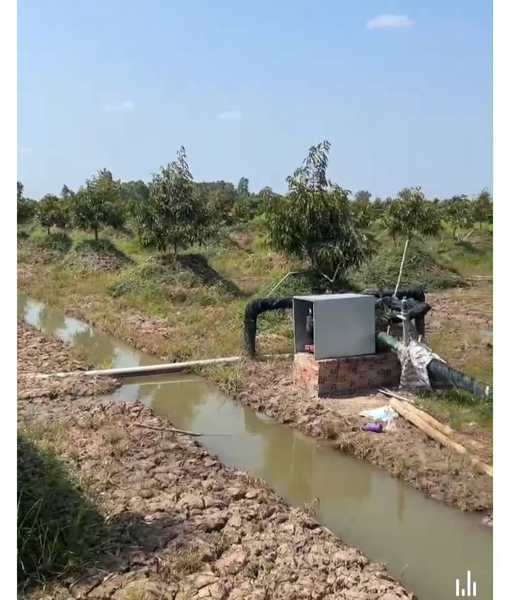 Đất Vườn Sầu Riêng 16.800m² Đốc Binh Kiều, Đồng Tháp - Giá Đầu Tư 62.16 Tỷ