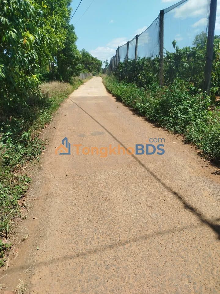 Đất thổ cư 150m² Ia Kha, Gia Lai - Sổ hồng sẵn, giá đầu tư 2.x tỷ