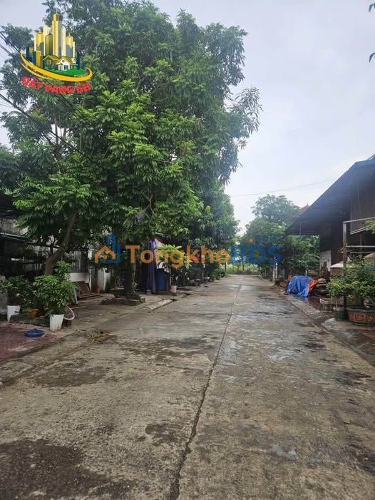 Đất Vàng Ngõ 205 Nam Bình, Hoa Lư 85.3m² - Hướng Bắc, Kinh Doanh Tốt