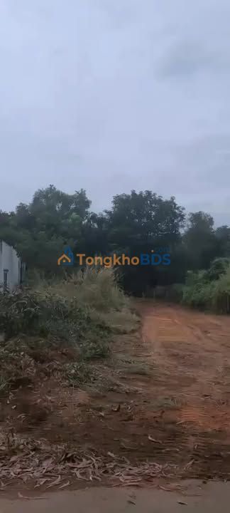 Đất Nền Mặt Tiền Thới Hòa, Bến Cát - 210m² Thổ Cư, Giá 1.7 Tỷ