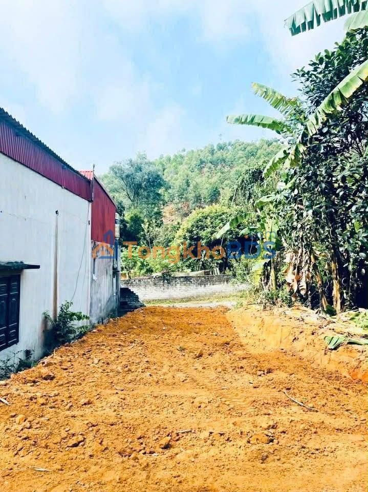 Đất Nền 100m² KCN Song Mai, Việt Yên - Giá 1.3 Tỷ, Sẵn Sàng Xây Dựng