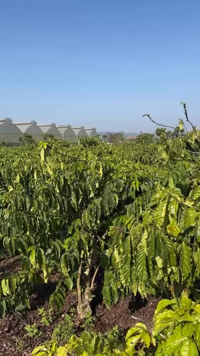 Đất Nền Mặt Tiền 95m² Giá 2.2 Tỷ - Sổ Đỏ Sẵn Tại Hòa Lạc