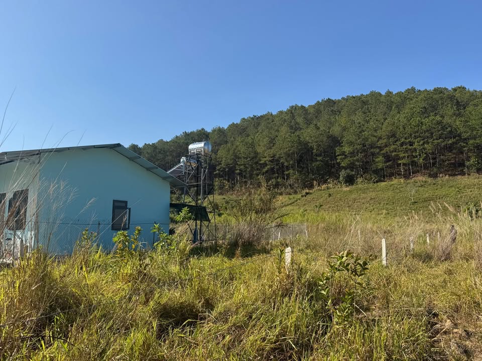 Đất Vườn Nghỉ Dưỡng Lâm Hà - 335m² View Đồi Thông - Chỉ Hơn 1 Tỷ