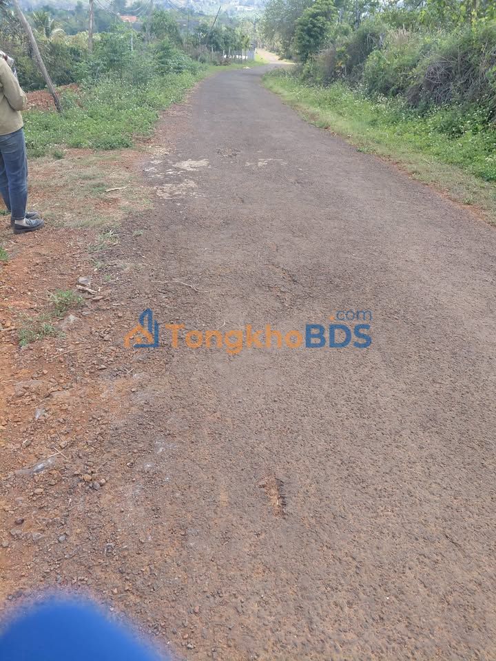 Bán đất 2ha Đắk Nông - Sổ đỏ chính chủ, giá tốt 4.35 tỷ