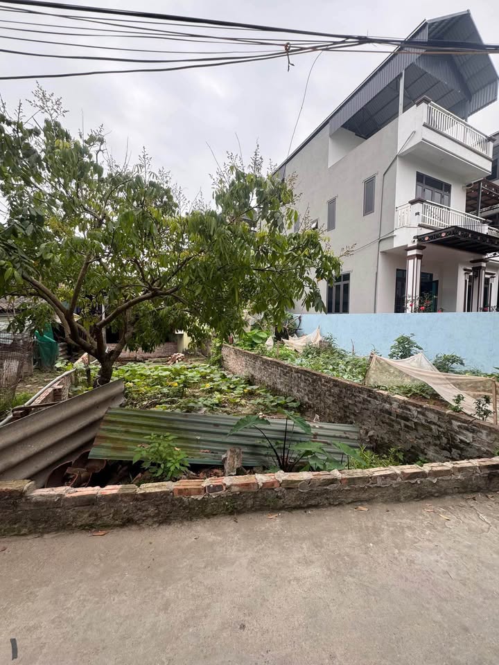 Đất nền Hoa Hậu Ngọc Hồi 50m² - Ngõ Rộng Thông - Giá 5.75 Tỷ