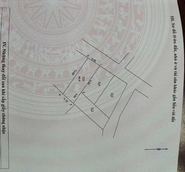 Đất Nền Phụng Công 48.8m² Sổ Nở Hậu - Giá Đầu Tư Tốt